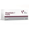 Vetexpert HEPATIALE FORTE 300mg, 40 tab.