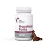 Raw Paleo VETEXPERT Hepatiale forte Small breed – papildai šunims ir katėms – 40 tablečių
