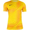Vyriški marškinėliai Nike Dri_Fit Gardien VI Goalkeeper geltona HV8301 718 (M)