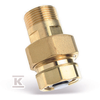 Watts Industries Bronzinis sujungimas su atbuliniu vožtuvu FIXFLEX SK 20 (0608102) 10005114