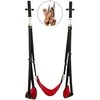 Bad Kitty Door Swing