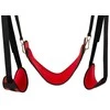 Bad Kitty Door Swing