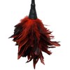 Pipedream FFS Frisky Feather Duster