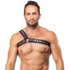 Men's Leather Harness S-L