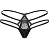 OBS stringai L/XL