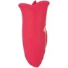 Oral Fun Vibrator Moving Lips