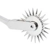 Single Pinwheel Sidabrinis