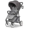 Vežimėlis Euro-Cart Flex, Pearl