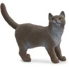 Schleich figūrėlė Britų trumpaplaukė katė