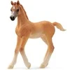 Schleich figūrėlė Arabų veislės kumeliukas