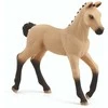 Schleich figūrėlė Hanoverio veislės kumeliukas, Sartas