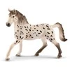 SCHLEICH HORSE CLUB Knabstrupper veislės arklys