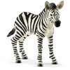 SCHLEICH „Wild Life“ figūrėlė Zebriukas