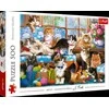 Trefl Dėlionė 500 vnt. - Katės