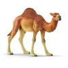 Schleich figūrėlė Vienkupris kupranugaris