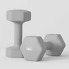 SPORTNOW 2 x 6kg hantelių rinkinys, šešiakampis dizainas, grindims saugus, neslystantis, pilkas