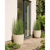 Beliani 2 vazonų rinkinys DRABA 44 cm smėlio spalvos