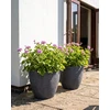 Beliani 2 vazonų rinkinys FRITILLARIA 50 cm Pilkas