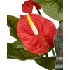 Beliani Dirbtinis augalas ANTHURIUM 95 cm, žalias