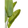 Beliani Dirbtinis augalas BANANA TREE 187 cm žalias