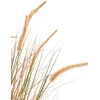 Beliani Dirbtinis augalas BRISTLEGRASS 120 cm oranžinis