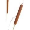 Beliani Dirbtinis augalas BULRUSH 135 cm žalias