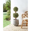 Beliani Dirbtinis augalas BUXUS BALL TREE 92 cm Žalias