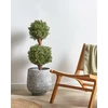 Beliani Dirbtinis augalas BUXUS BALL TREE 92 cm Žalias