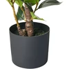 Beliani Dirbtinis augalas CAMELLIA 60 cm žalias