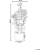Beliani Dirbtinis augalas CAMELLIA 60 cm žalias