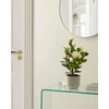 Beliani Dirbtinis augalas CAMELLIA 60 cm žalias