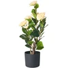 Beliani Dirbtinis augalas CAMELLIA 60 cm žalias