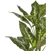 Beliani Dirbtinis augalas DIEFFENBACHIA 110 cm žalias