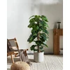 Beliani Dirbtinis augalas DIEFFENBACHIA 152 cm žalias