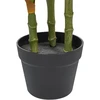 Beliani Dirbtinis augalas DIEFFENBACHIA 110 cm žalias