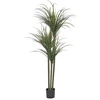 Beliani Dirbtinis augalas DRACAENA ANITA 198 cm žalias