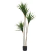 Beliani Dirbtinis augalas DRACAENA DRACO 165 cm Žalias