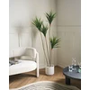 Beliani Dirbtinis augalas DRACAENA DRACO 165 cm Žalias