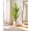 Beliani Dirbtinis augalas DRACAENA TREE 150 cm žalias