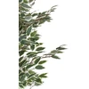 Beliani Dirbtinis augalas FICUS 167 cm žalias