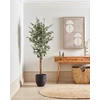 Beliani Dirbtinis augalas FICUS 167 cm žalias