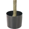 Beliani Dirbtinis augalas FICUS TREE 160 cm žalias