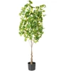 Beliani Dirbtinis augalas GINKGO TREE 150 cm žalias