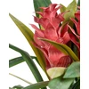 Beliani Dirbtinis augalas GUZMANIA ATILLA 50 cm Žalias