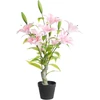 Beliani Dirbtinis augalas LILIARIUM 85 cm rožinis