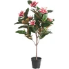 Beliani Dirbtinis augalas MAGNOLIA TREE 90 cm raudonas