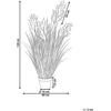 Beliani Dirbtinis augalas MISCANTHUS GRASS 120 cm rudas