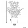 Beliani Dirbtinis augalas ORBIFOLIA 50 cm, žalias