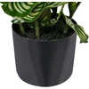 Beliani Dirbtinis augalas ORBIFOLIA 50 cm, žalias