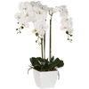 Beliani Dirbtinis augalas ORCHID 59 cm baltas